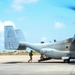 &quot;Mastering the Skies: Osprey Training Takes Flight!&quot;