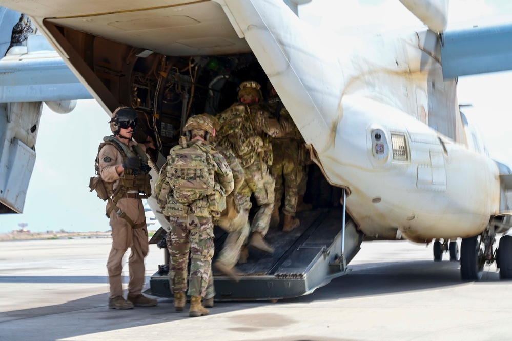 &quot;Mastering the Skies: Osprey Training Takes Flight!&quot;