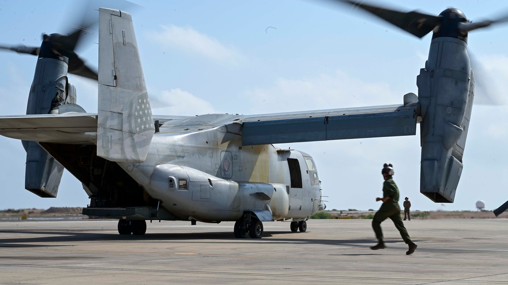 &quot;Mastering the Skies: Osprey Training Takes Flight!&quot;
