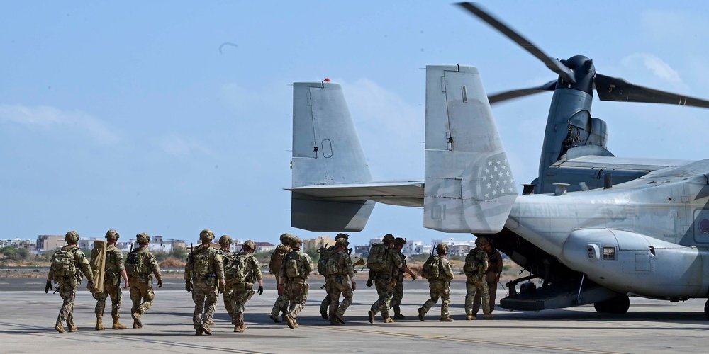 &quot;Mastering the Skies: Osprey Training Takes Flight!&quot;