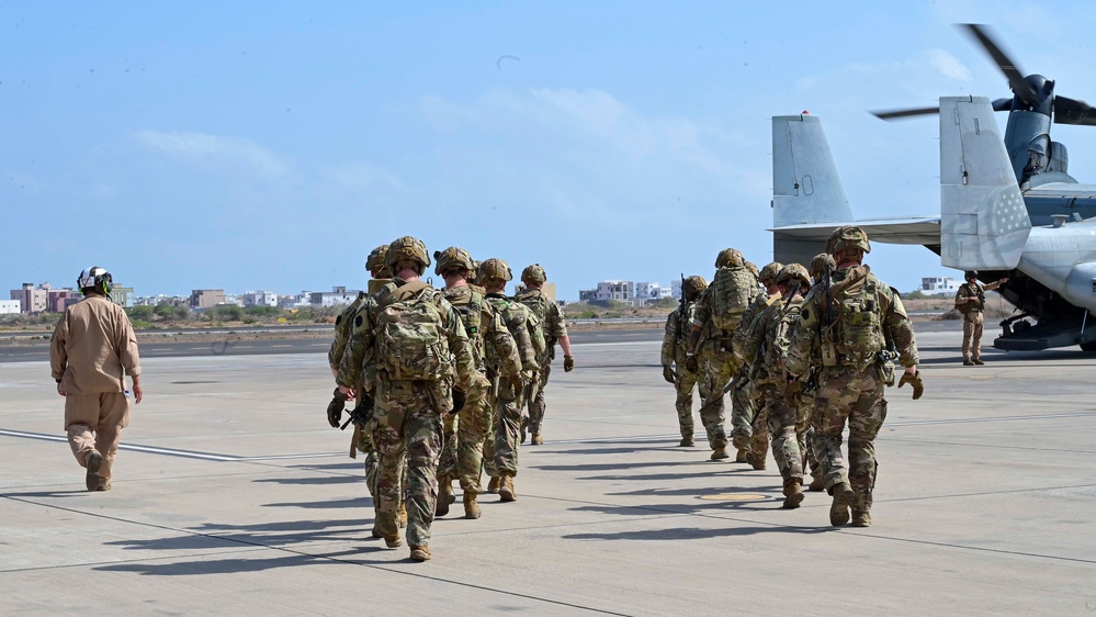 &quot;Mastering the Skies: Osprey Training Takes Flight!&quot;