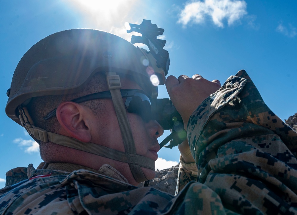 4th ANGLICO execute call for fire and close air support during EW24