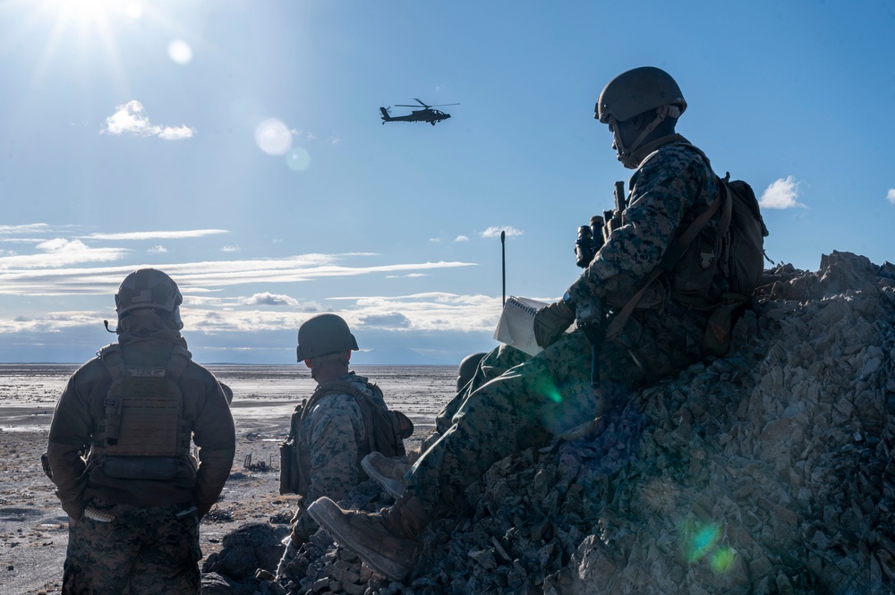 4th ANGLICO execute call for fire and close air support during EW24