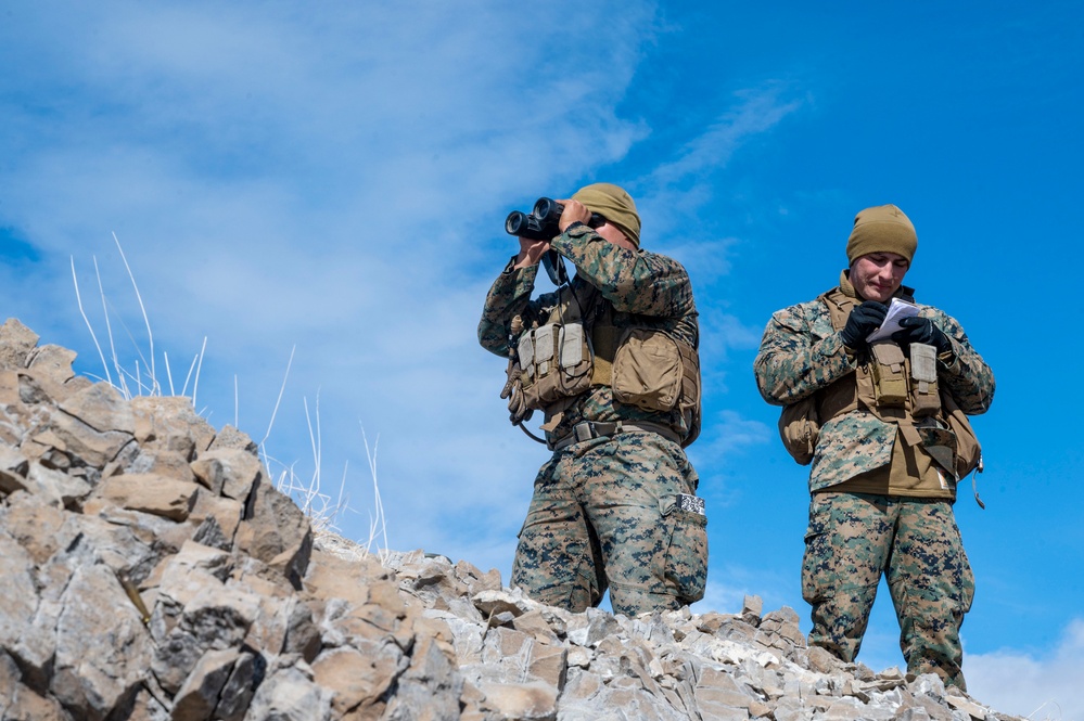 4th ANGLICO execute call for fire and close air support during EW24