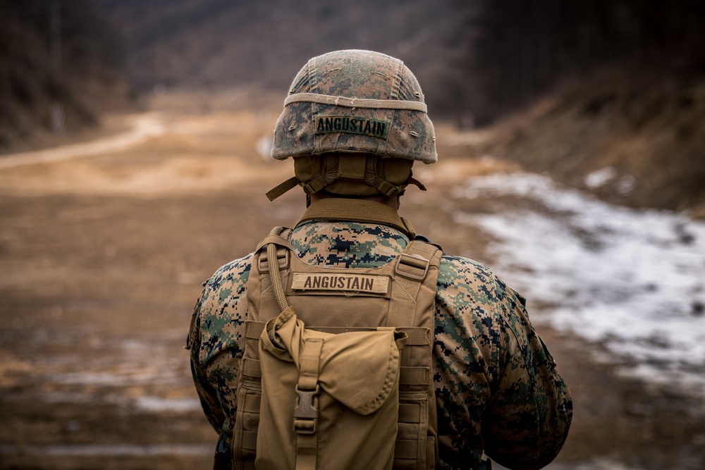 Warrior Shield 24: Unknown Distance Range