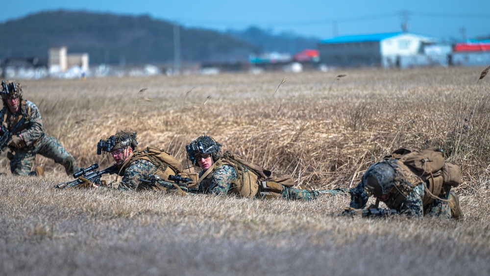 Wolf in Marine’s clothing: Wolf Pack hosts USMC, ROK Marines combined training