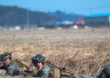 Wolf in Marine’s clothing: Wolf Pack hosts USMC, ROK Marines combined training