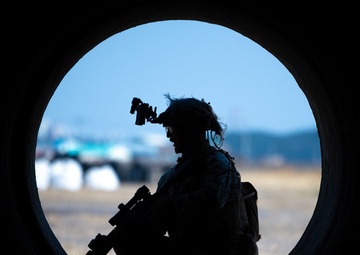 Wolf in Marine’s clothing: Wolf Pack hosts USMC, ROK Marines combined training