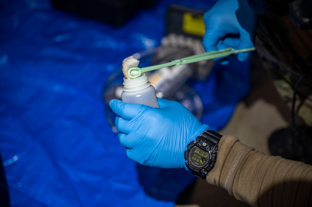 Special Tactics Airmen conduct MASCAL training during Emerald Warrior 24 (EW24)