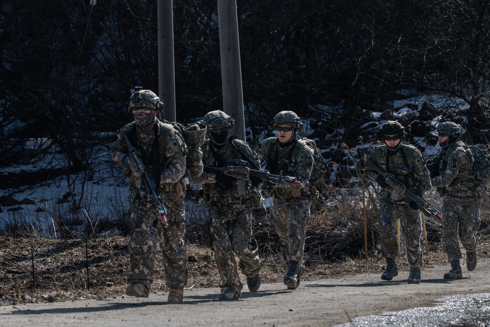 Freedom Shield 24, combined air and ground assault training