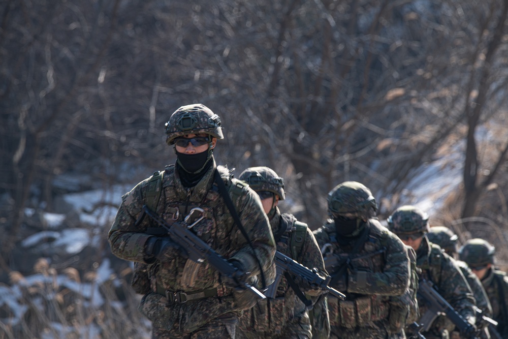 Freedom Shield 24, combined air and ground assault training exercise