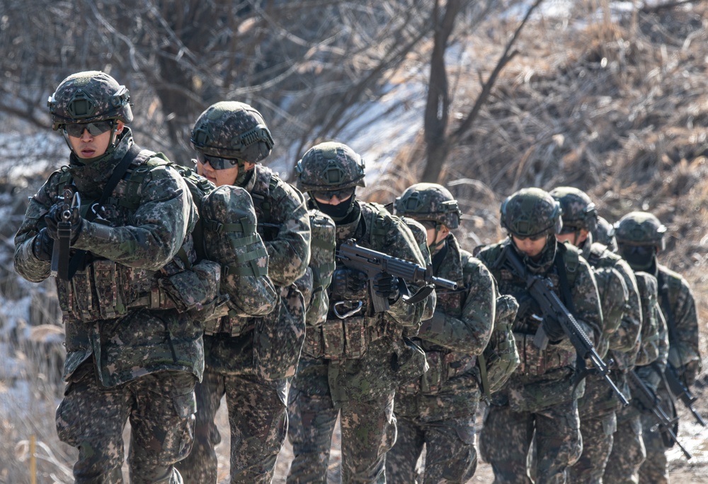 Freedom Shield 24, combined air and ground assault training exercise