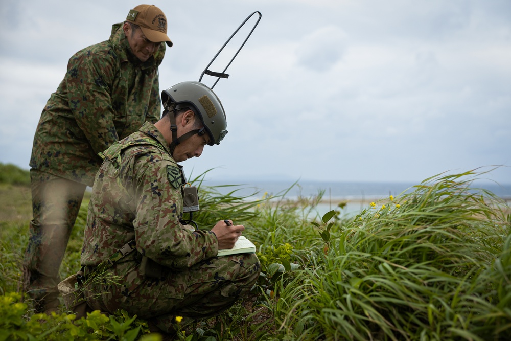 Iron Fist 24: 31st MEU and ARDB conduct close air support training