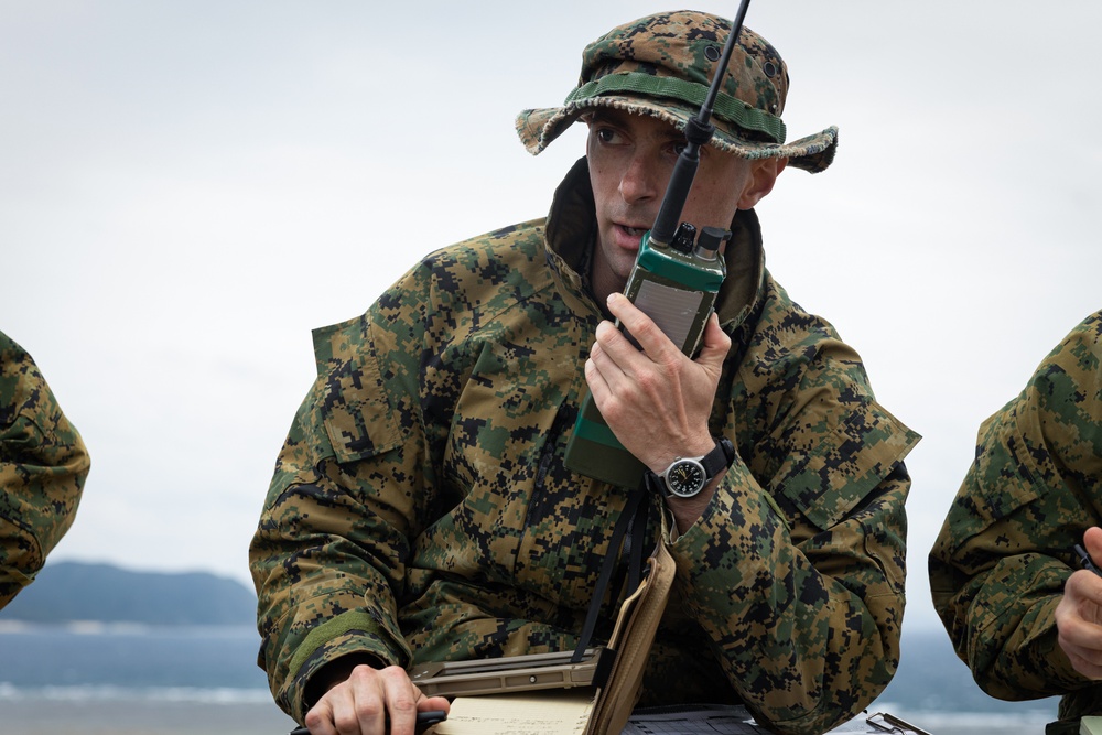 Iron Fist 24: 31st MEU and ARDB conduct close air support training