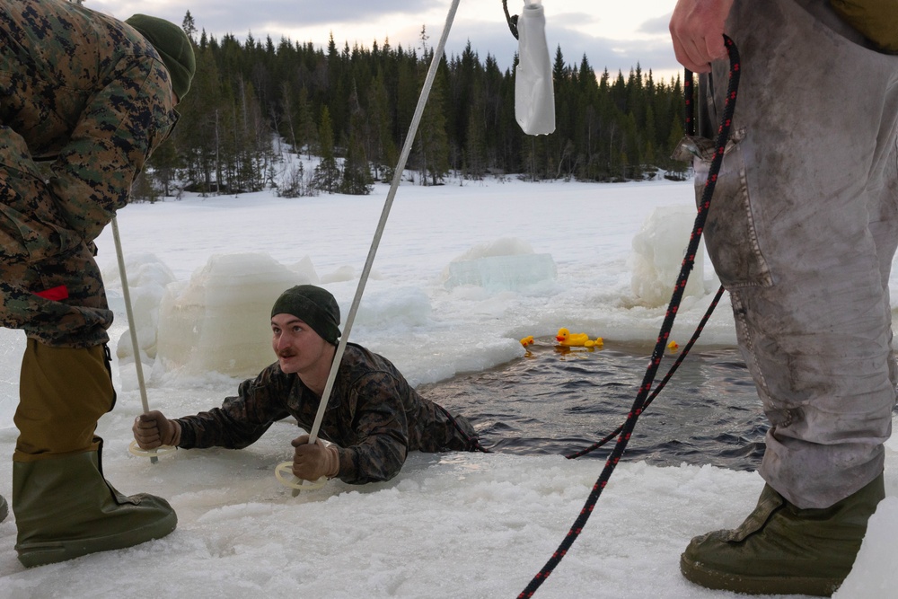 Cold Weather Training: U.S. Marines and Norwegian Armed Forces during Exercise Northern Winter