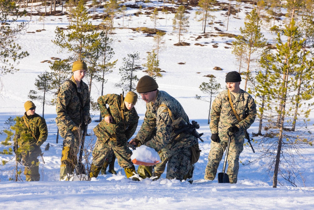 Cold Weather Training: U.S. Marines and Norwegian Armed Forces during Exercise Northern Winter