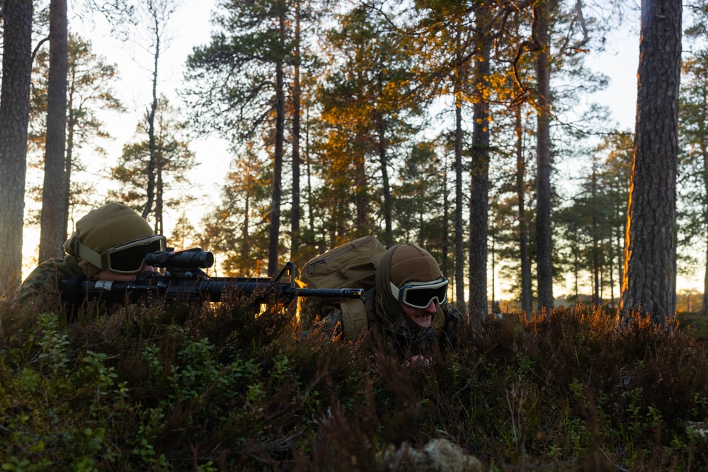 Cold Weather Training: U.S. Marines and Norwegian Armed Forces during exercise Northern Winter