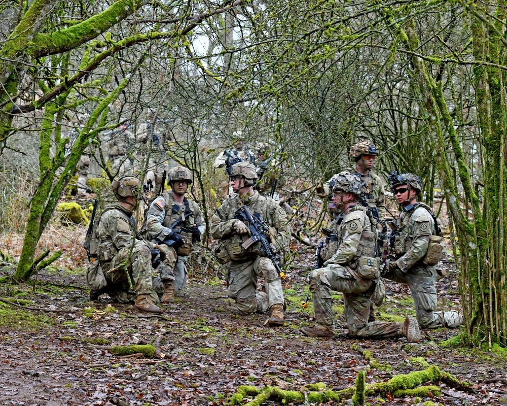 2nd Cavalry, “Dragoons” in Baumholder