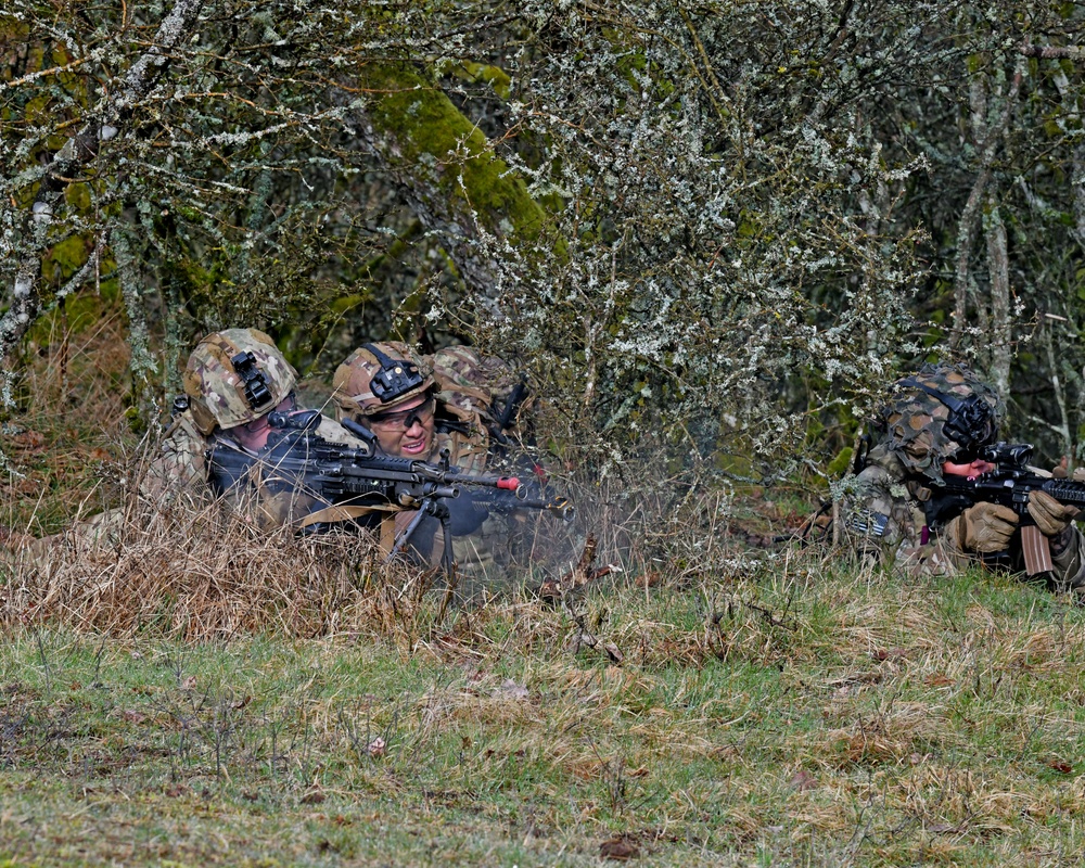 2nd Cavalry, “Dragoons” in Baumholder