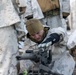 1st Battalion, 2nd Marine Regiment participates in Exercise Nordic Response 24 in Norway
