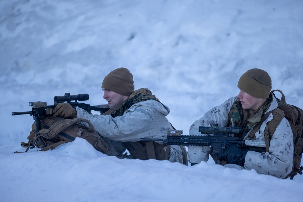 1st Battalion, 2nd Marine Regiment participates in Exercise Nordic Response 24 in Norway