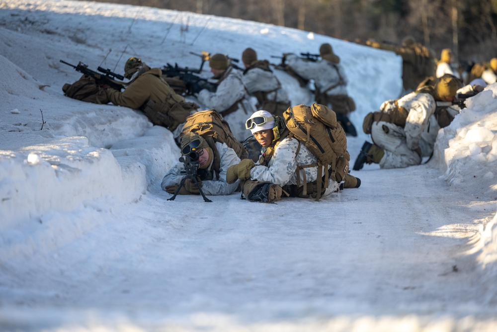 1st Battalion, 2nd Marine Regiment participates in Exercise Nordic Response 24 in Norway