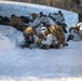 1st Battalion, 2nd Marine Regiment participates in Exercise Nordic Response 24 in Norway