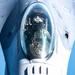 121st refuels F-16 Fighting Falcons