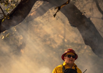 Cherry Point Firefighters and EAD Conduct Controlled Burn