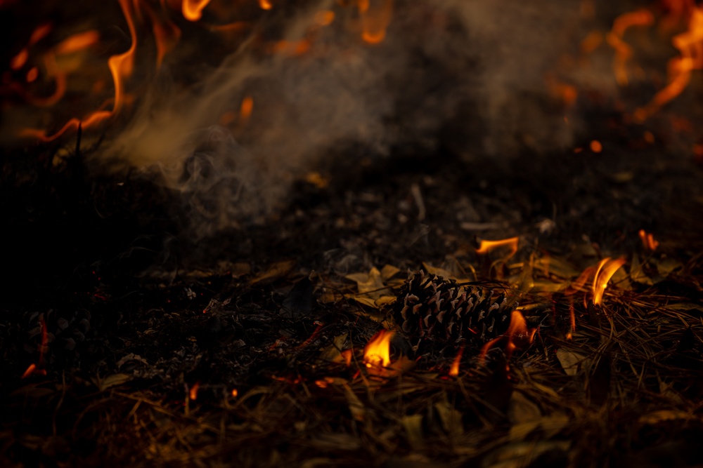 Cherry Point Firefighters and EAD Conduct Controlled Burn