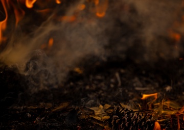 Cherry Point Firefighters and EAD Conduct Controlled Burn