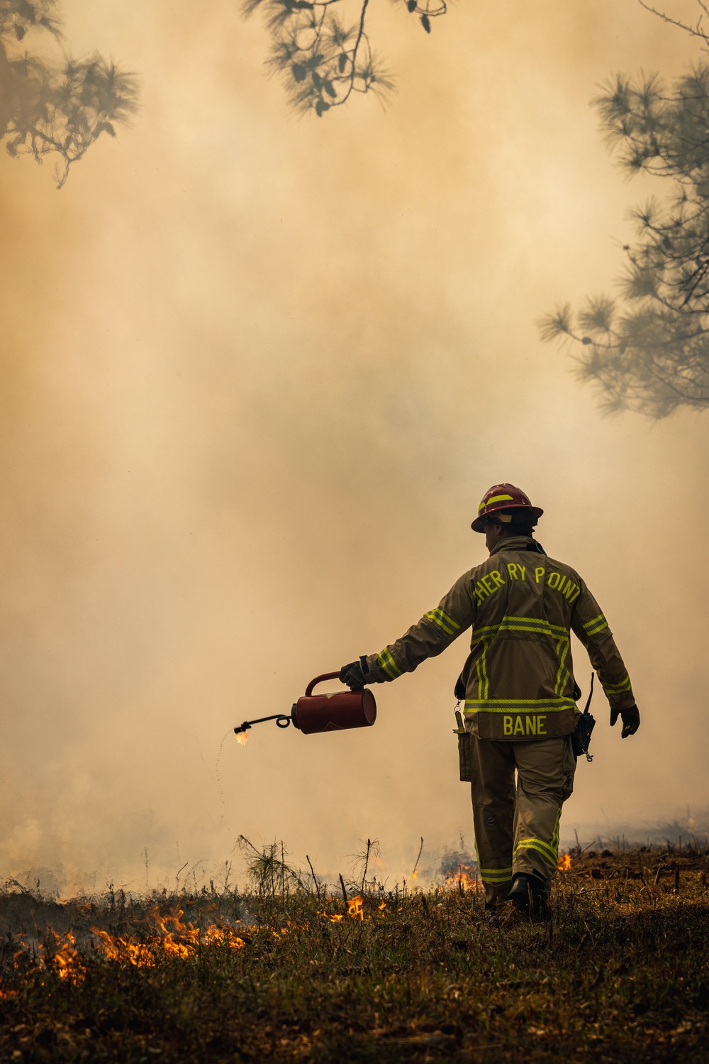 Cherry Point Firefighters and EAD Conduct Controlled Burn