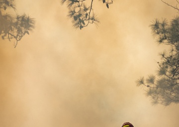 Cherry Point Firefighters and EAD Conduct Controlled Burn