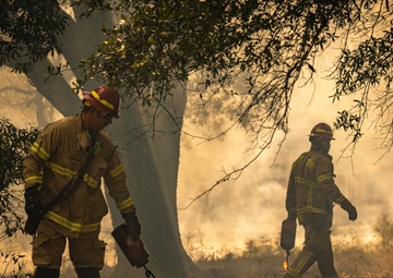 Cherry Point Firefighters and EAD Conduct Controlled Burn