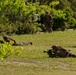 Iron Fist 24: Marines, JGSDF conduct helicopter raid on Okinoerabu Island