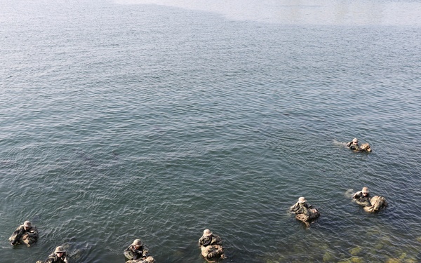 Naval Special Warfare, Republic of Korea Naval Special Warfare Flotilla Conduct Joint Training Exercise