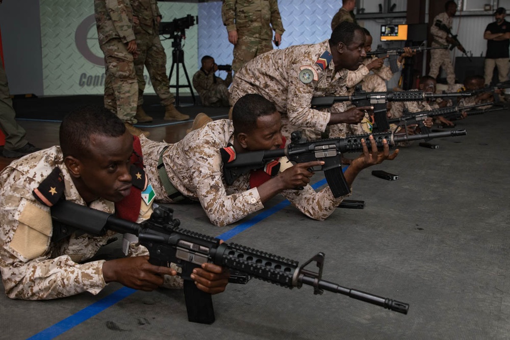Djiboutian Partners Train on Virtual Range