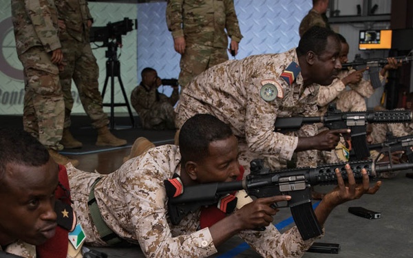 Djiboutian Partners Train on Virtual Range