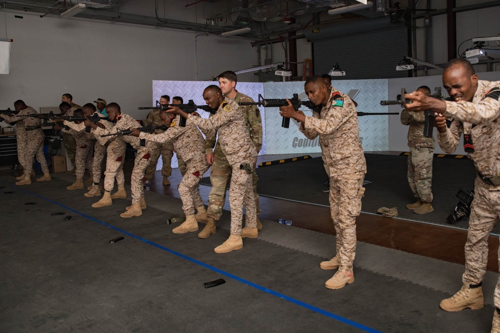 Djiboutian Partners Train on Virtual Range