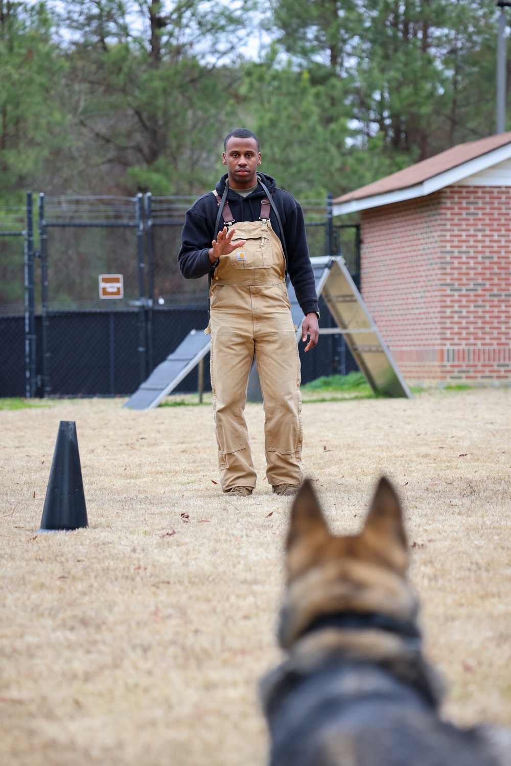 Meet Your Army: Military Working Dog Handler recognized for hard work