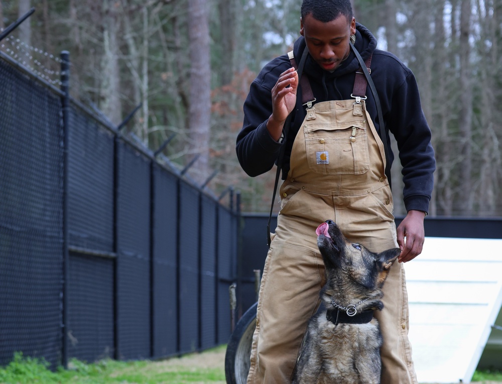 Meet Your Army: Military Working Dog Handler recognized for hard work