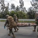 Iron Fist: Bilateral Casualty Evacuation Exercise