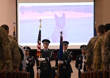 The unbreakable bond: Remembering Military Working Dog Crock