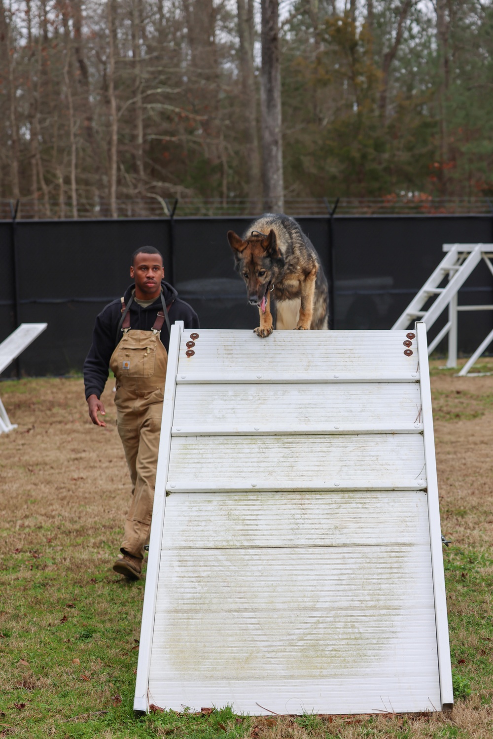 Meet Your Army: Military Working Dog Handler recognized for hard work