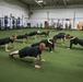 ACFT - March 2023