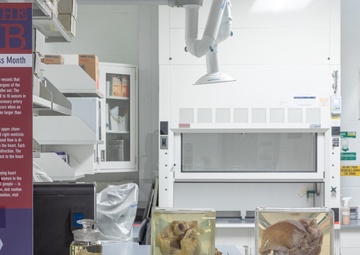 “In the Lab: American Heart Awareness Month” Exhibit