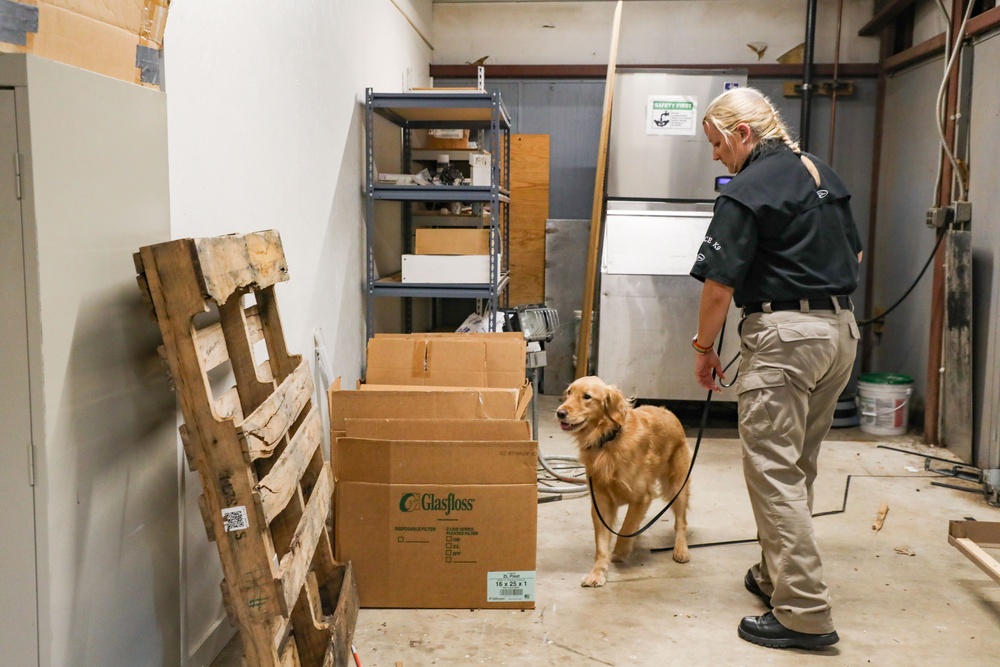 Joint Law Enforcement K9 Training