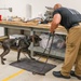 Joint Law Enforcement K9 Training