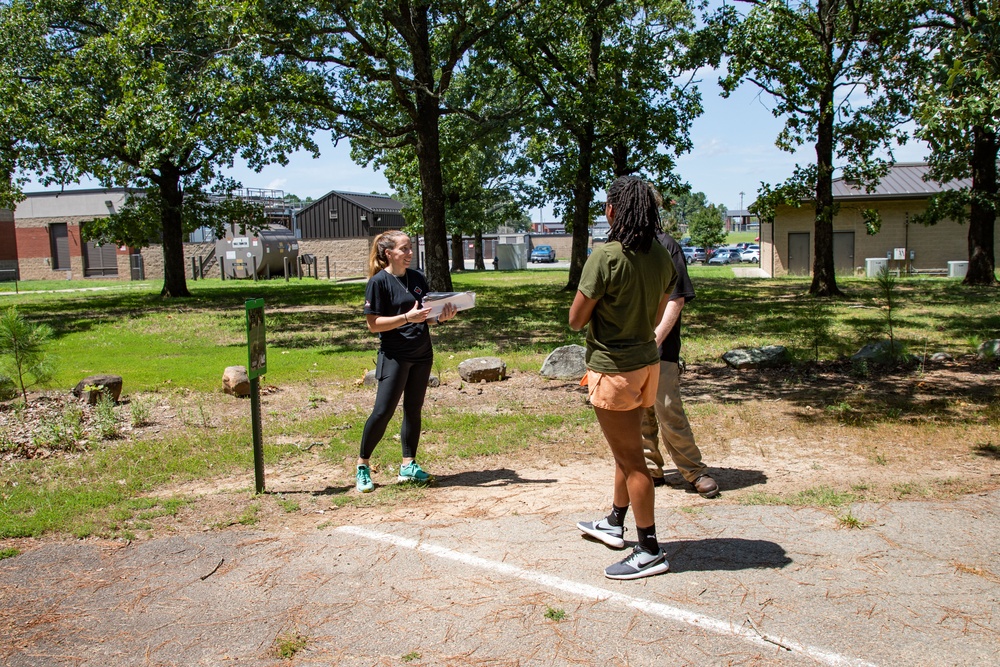 Knowledge Management Disc Golf