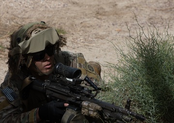 Army Paratroopers Conduct Field Training Exercise at Project Convergence Capstone 4